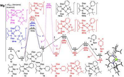 Role of Alkaline-Earth Metal-Catalyst: A Theoretical Study of Pyridines Hydroboration